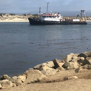 Meet your Posher, Danzel